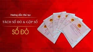 Thủ tục tách Sổ đỏ & Gộp sổ đỏ mới nhất