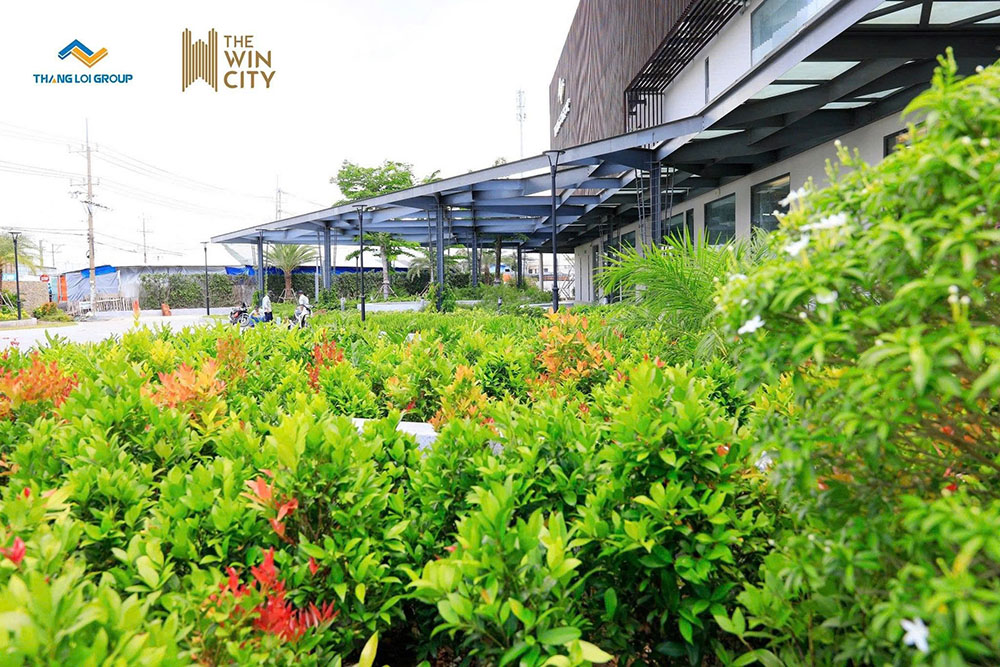 ảnh thực tế the win city ghi lại nội thất căn hộ mẫu sang trọng