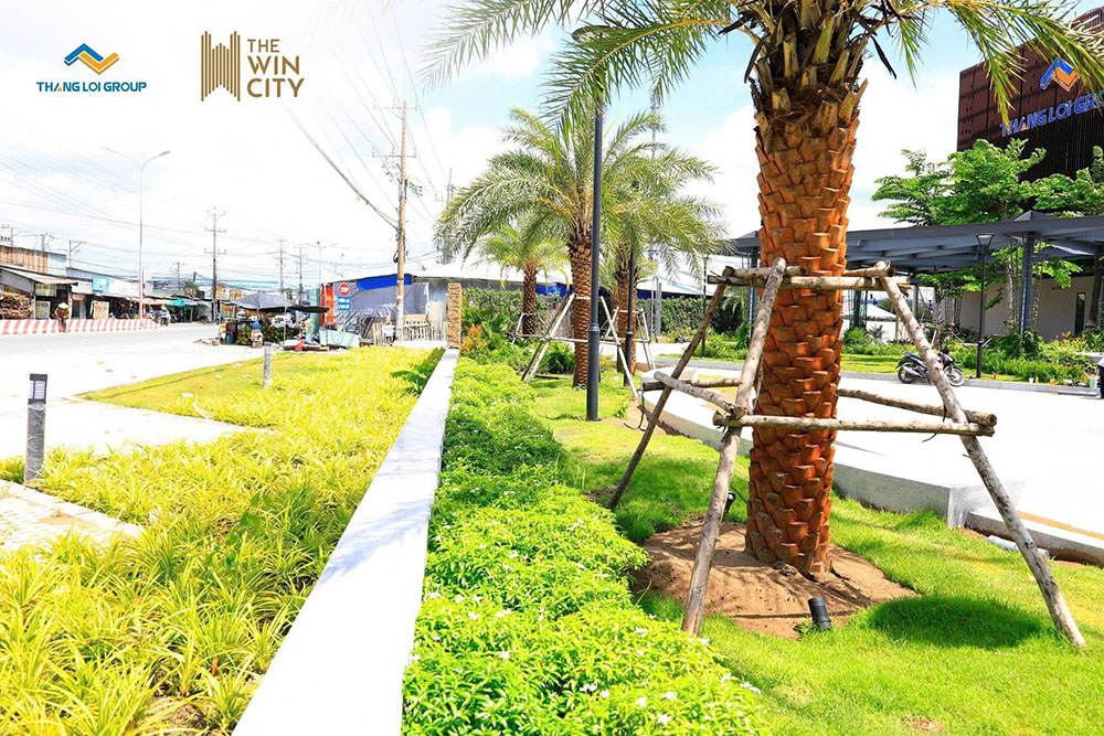 ảnh thực tế the win city thể hiện không gian sống thoáng đãng