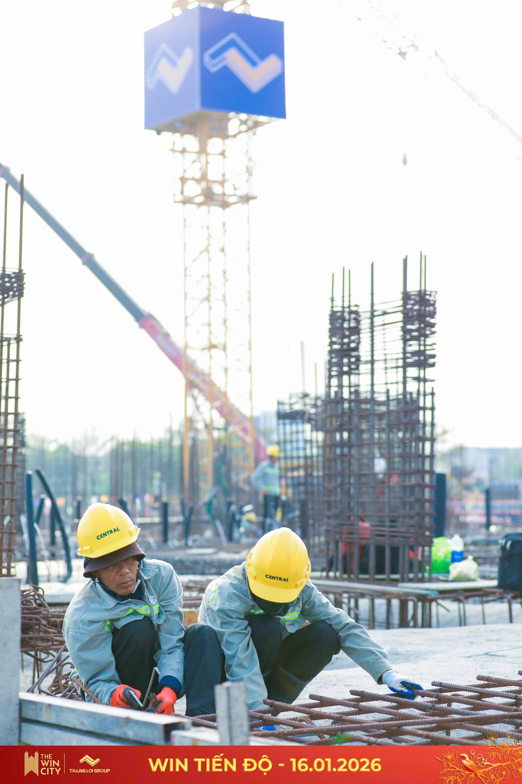 tiến độ tháng 1/2026 Căn hộ the win city địa ốc thắng lợi group