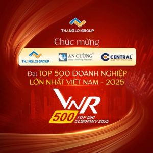 tin tức The Win City