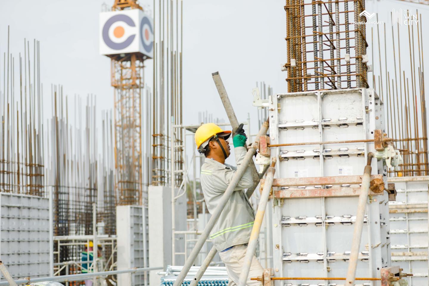 TIẾN ĐỘ THE WIN CITY 03.2026