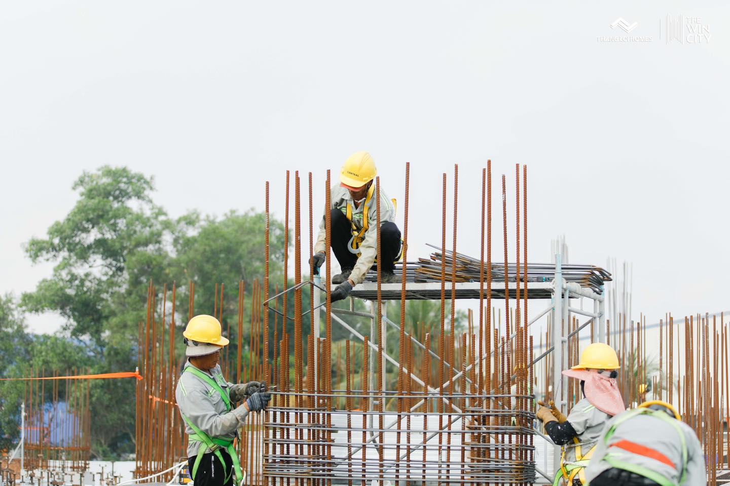 TIẾN ĐỘ THE WIN CITY 03.2026