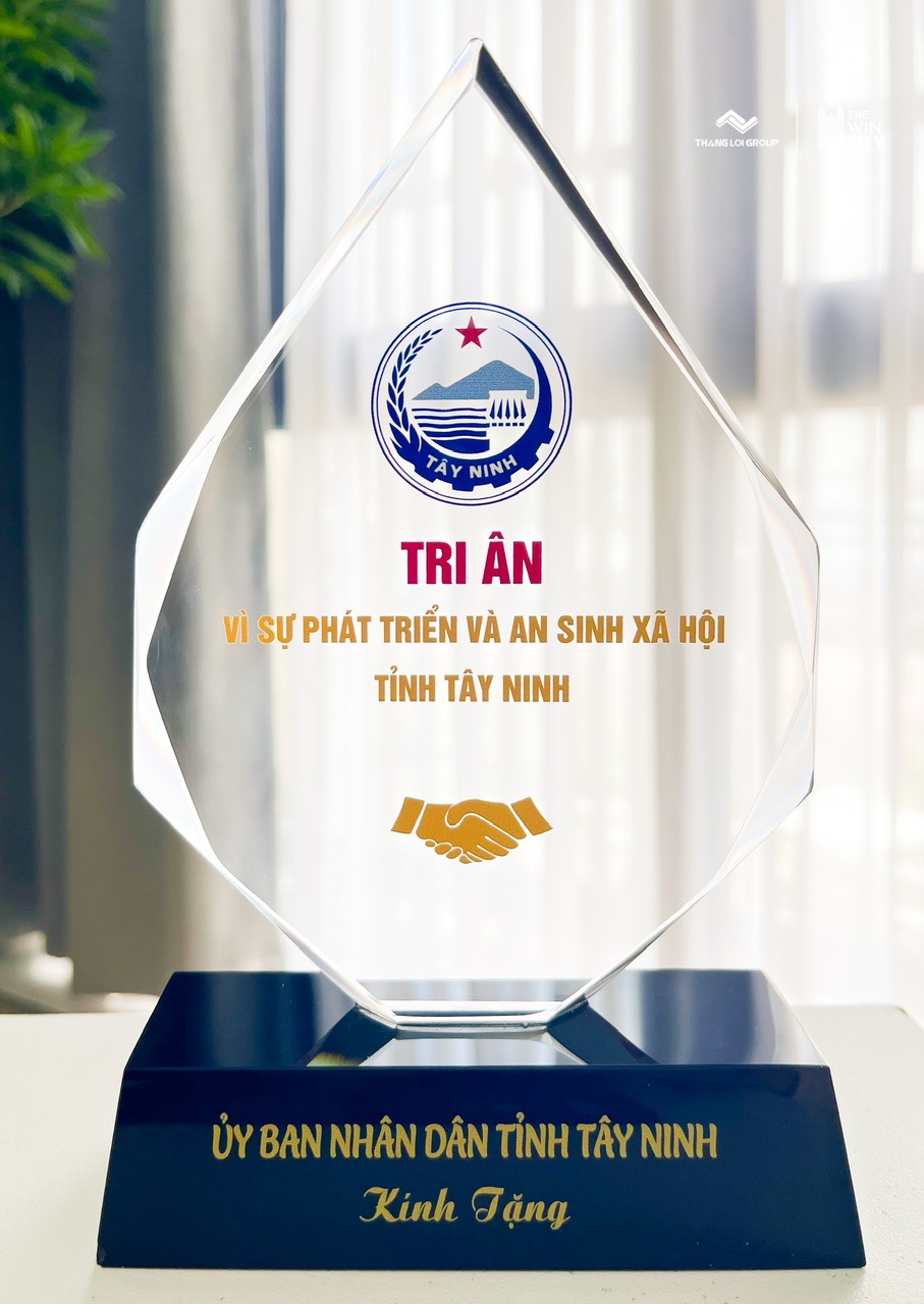 TIN TỨC THE WIN CITY